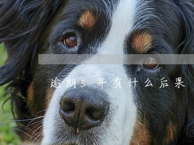逾期5年有什么后果