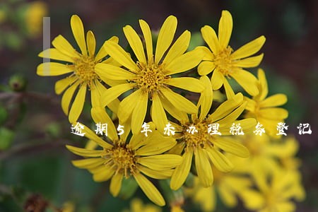 逾期5年未办理税务登记情况说明 逾期5年未办理税务登记情况说明