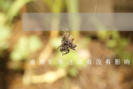 逾期5年注销有没有影响 逾期5年注销有没有影响