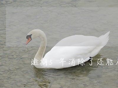 逾期5年消除了还能房贷吗 逾期5年消除了还能房贷吗