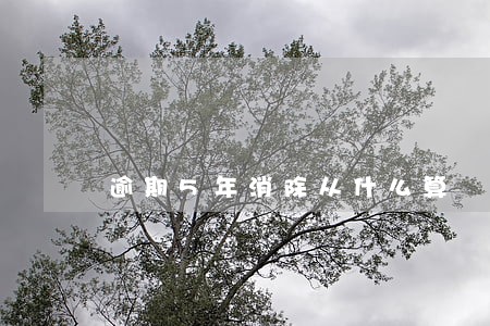 逾期5年消除从什么算