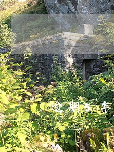 逾期5年消除后有影响吗 逾期5年消除后有影响吗