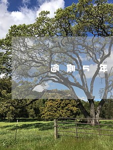 逾期5年消除怎么算 逾期5年消除怎么算