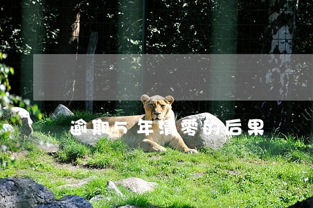 逾期5年清零的后果 逾期5年清零的后果