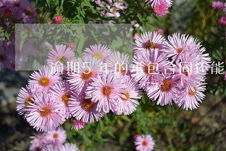 逾期5年的承包合同还能诉讼嘛 逾期5年的承包合同还能诉讼嘛
