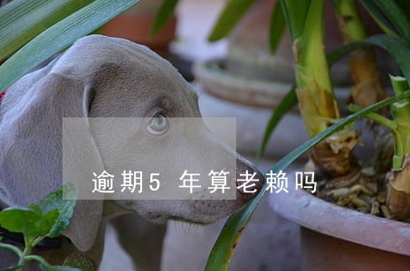 逾期5年算老赖吗 逾期5年算老赖吗