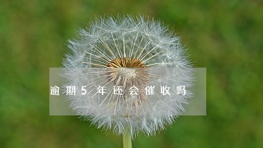 逾期5年还会催收吗 逾期5年还会催收吗