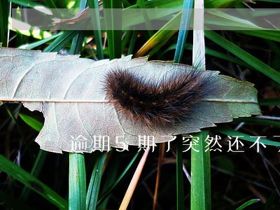 逾期5期了突然还不了 逾期5期了突然还不了