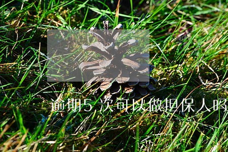 逾期5次可以做担保人吗 逾期5次可以做担保人吗