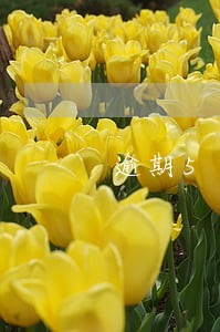 逾期5次可以办按揭吗 逾期5次可以办按揭吗