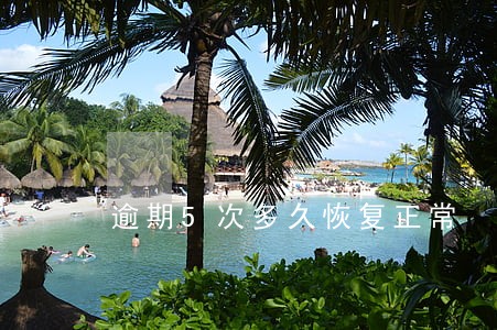 逾期5次多久恢复正常 逾期5次多久恢复正常