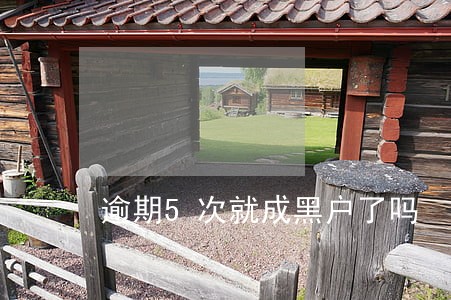 逾期5次就成黑户了吗 逾期5次就成黑户了吗