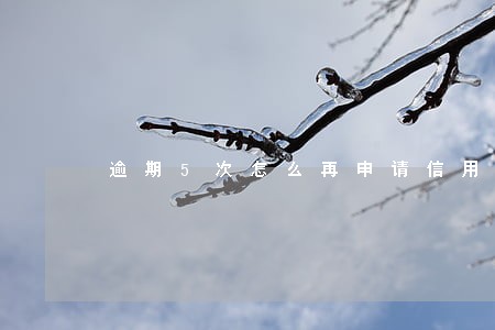 逾期5次怎么再申请信用卡 逾期5次怎么再申请信用卡