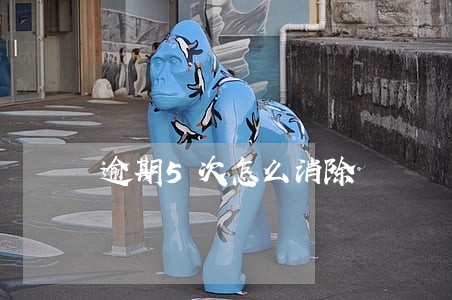 逾期5次怎么消除 逾期5次怎么消除