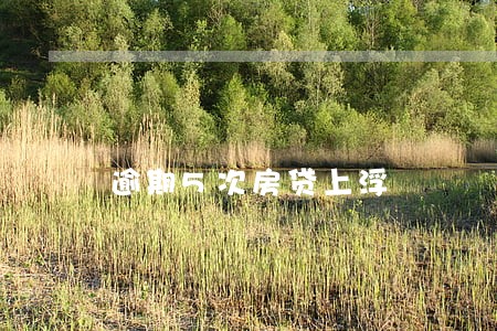 逾期5次房贷上浮 逾期5次房贷上浮
