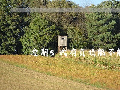 逾期5次有负债能不能贷款 逾期5次有负债能不能贷款