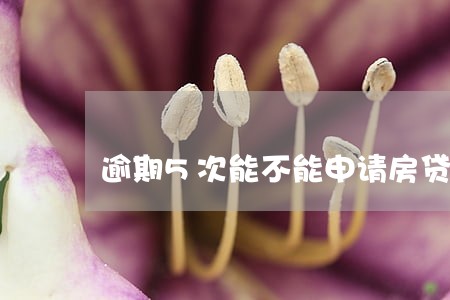逾期5次能不能申请房贷 逾期5次能不能申请房贷