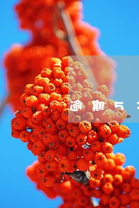 逾期5次能买车吗 逾期5次能买车吗