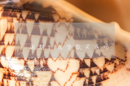 逾期5次贷款买房吗 逾期5次贷款买房吗