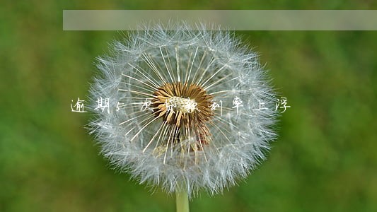 逾期5次贷款利率上浮 逾期5次贷款利率上浮