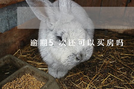 逾期5次还可以买房吗 逾期5次还可以买房吗