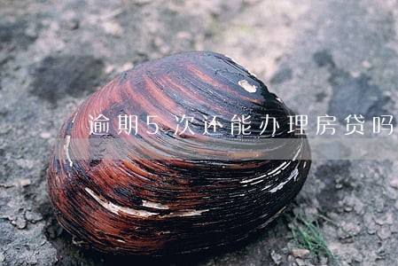 逾期5次还能办理房贷吗 逾期5次还能办理房贷吗