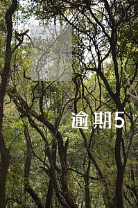 逾期5次还能贷房贷吗 逾期5次还能贷房贷吗