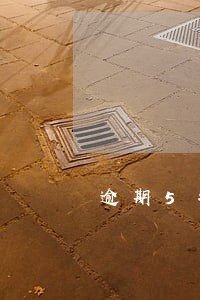 逾期5毛钱会上征信吗 逾期5毛钱会上征信吗