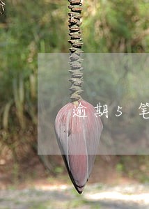 逾期5笔公积金贷款 逾期5笔公积金贷款