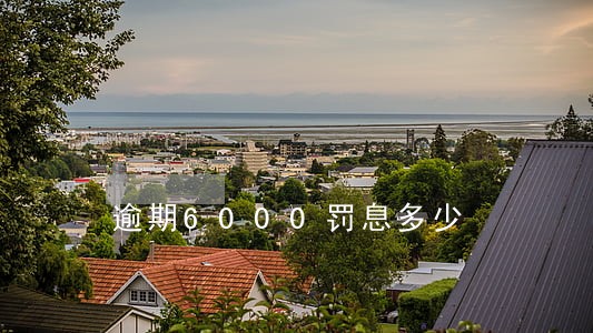 逾期6000罚息多少