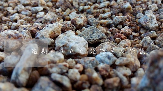 逾期6000还能买房贷款 逾期6000还能买房贷款