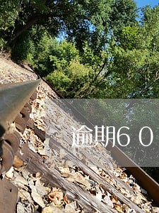 逾期600会上征信吗