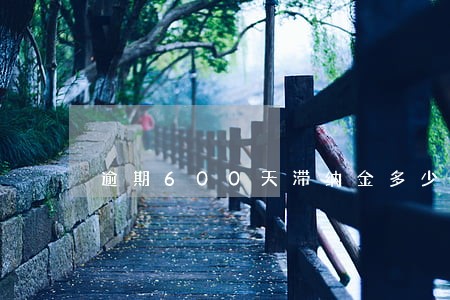 逾期600天滞纳金多少钱 逾期600天滞纳金多少钱