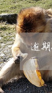 逾期600快就发律师函 逾期600快就发律师函