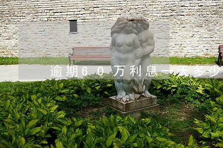 逾期60万利息一天多少 逾期60万利息一天多少