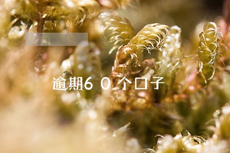 逾期60个口子 逾期60个口子