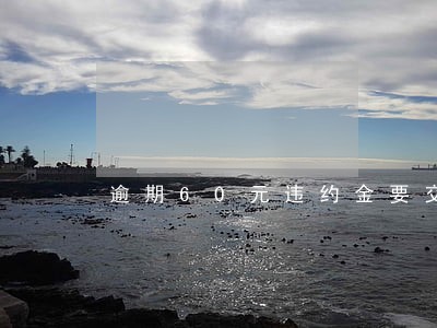 逾期60元违约金要交多少 逾期60元违约金要交多少