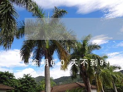 逾期60天不到90天贷款 逾期60天不到90天贷款