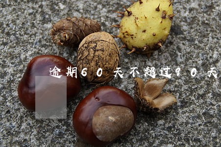 逾期60天不超过90天信用卡 逾期60天不超过90天信用卡