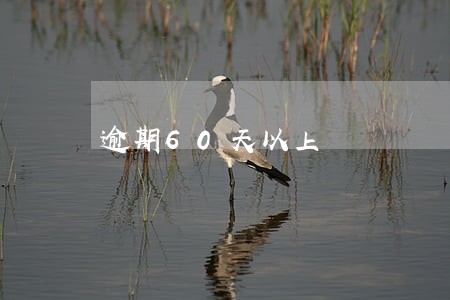 逾期60天以上 逾期60天以上