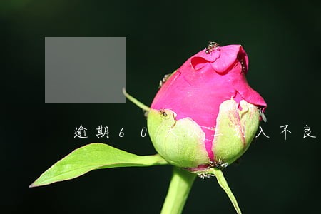 逾期60天以上划入不良 逾期60天以上划入不良