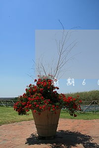 逾期60天以上计入不良的影响 逾期60天以上计入不良的影响