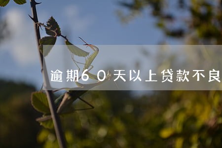 逾期60天以上贷款不良资产 逾期60天以上贷款不良资产