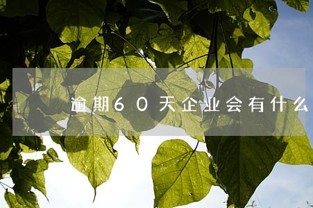 逾期60天企业会有什么影响 逾期60天企业会有什么影响