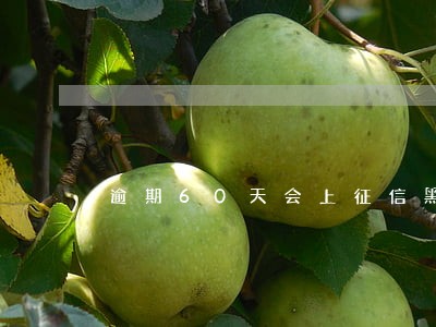 逾期60天会上征信黑名单吗 逾期60天会上征信黑名单吗