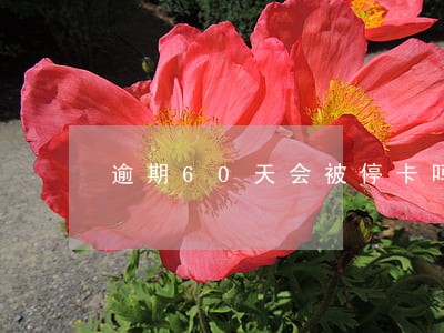 逾期60天会被停卡吗