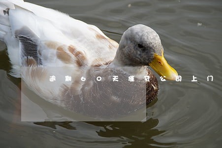 逾期60天催贷公司上门 逾期60天催贷公司上门
