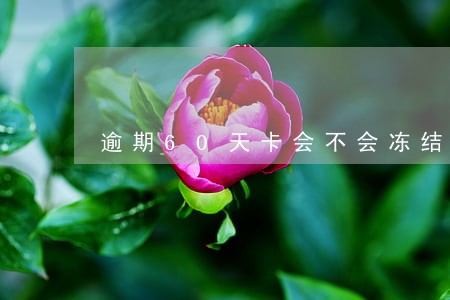 逾期60天卡会不会冻结 逾期60天卡会不会冻结