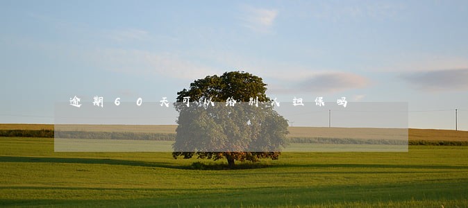 逾期60天可以给别人担保吗 逾期60天可以给别人担保吗