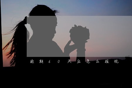 逾期60天后怎么报税